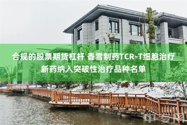 合规的股票期货杠杆 香雪制药TCR-T细胞治疗新药纳入突破性治疗品种名单