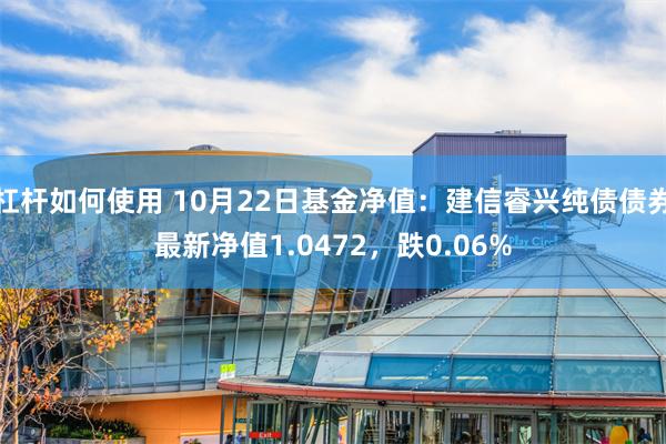 杠杆如何使用 10月22日基金净值：建信睿兴纯债债券最新净值1.0472，跌0.06%