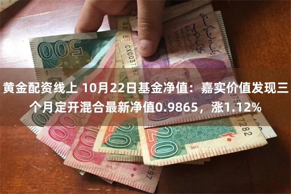 黄金配资线上 10月22日基金净值：嘉实价值发现三个月定开混合最新净值0.9865，涨1.12%