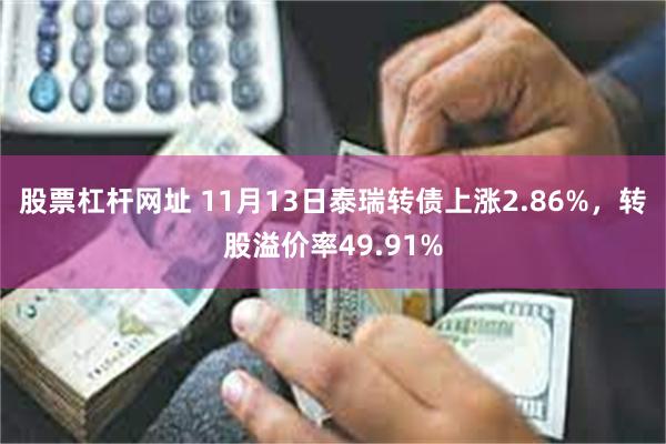 股票杠杆网址 11月13日泰瑞转债上涨2.86%，转股溢价率49.91%