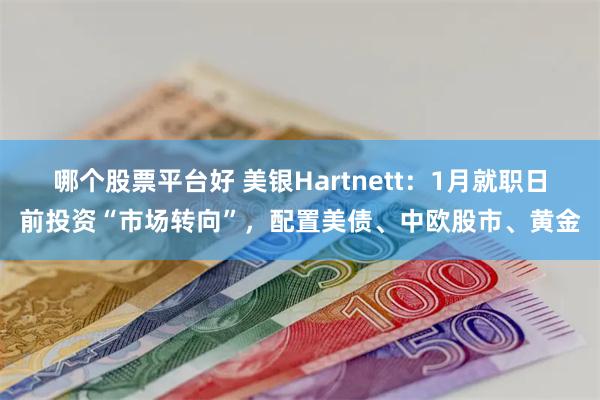 哪个股票平台好 美银Hartnett：1月就职日前投资“市场转向”，配置美债、中欧股市、黄金