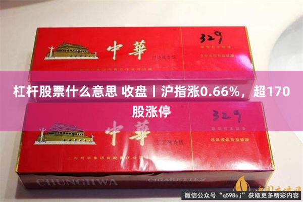 杠杆股票什么意思 收盘丨沪指涨0.66%，超170股涨停