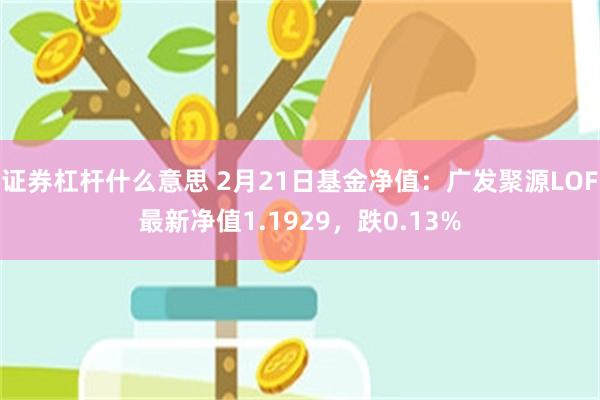 证券杠杆什么意思 2月21日基金净值：广发聚源LOF最新净值1.1929，跌0.13%