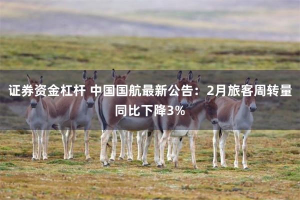 证券资金杠杆 中国国航最新公告：2月旅客周转量同比下降3%
